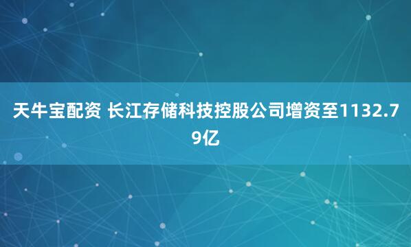 天牛宝配资 长江存储科技控股公司增资至1132.79亿